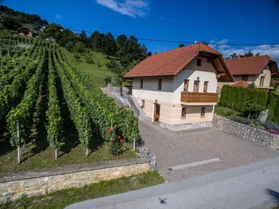 a house with a vineyard next to a house with a building at Holiday home in Dobrnic - Dolenjska & Bela krajina Unter- & Weißkrain 26093 in Dobrnič