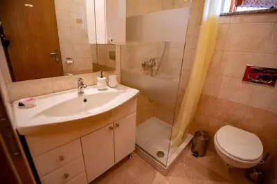 a bathroom with a sink and a shower and a toilet at Holiday home in Dobrnic - Dolenjska & Bela krajina Unter- & Weißkrain 26093 in Dobrnič