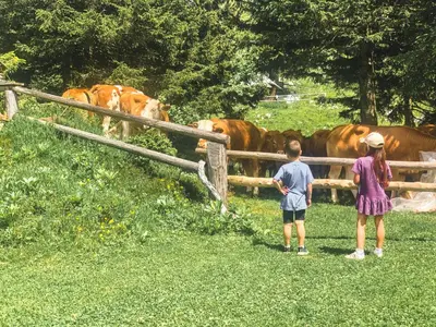 two children standing in front of a fence looking at cows at Velika planina - Chalet Stane - Alps in Stahovica