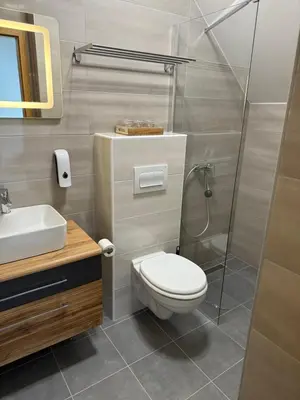 a bathroom with a toilet and a shower and a sink at Apartmaji Biseri in Kranjska Gora