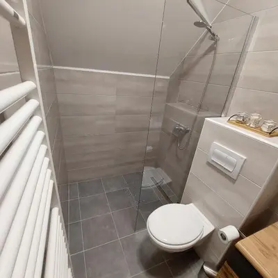 a small bathroom with a toilet and a shower at Apartmaji Biseri in Kranjska Gora