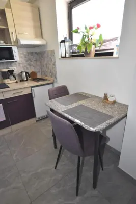 a kitchen with a table and chairs in a kitchen at apartmaji LEJARDIN in Škofljica