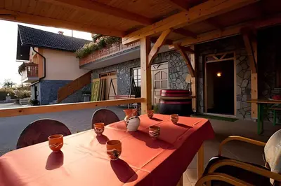 a table with cats sitting on top of it at Houses and Apt in Smarjeske Toplice Kranjska Krain 26042 in Smarjeske Toplice