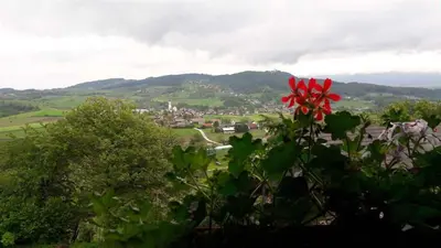 a red flower sitting on top of a tree at Houses and Apt in Smarjeske Toplice Kranjska Krain 26042 in Smarjeske Toplice