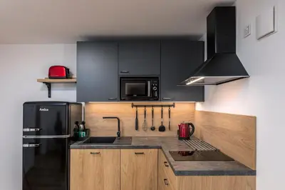 a kitchen with a black refrigerator and a sink at House Godec - Rateče Planica in Kranjska Gora
