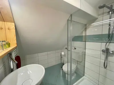 a bathroom with a toilet and a glass shower at Hotel ŠURC in Kranjska Gora