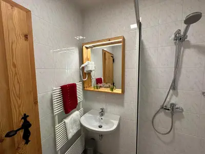 a bathroom with a sink and a shower with a mirror at Hotel ŠURC in Kranjska Gora