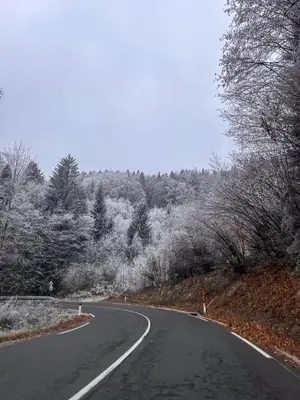 an empty road with snow covered trees on the side at APARTMA JEREBIKA ŠT. 20 in Pohorje