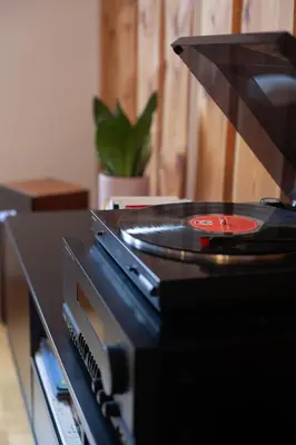 a vinyl record sitting on top of a radio at APARTMA JEREBIKA ŠT. 20 in Pohorje