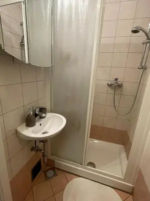 a bathroom with a shower and a sink at Old Town Theatre Staircase Apartments in Ljubljana