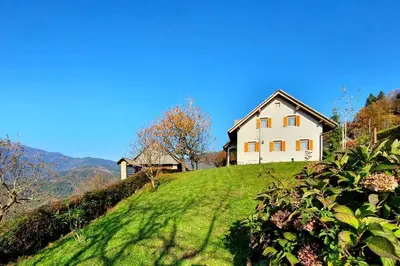 a house on top of a grassy hill at House Pucnk-beautiful countryside in Železniki