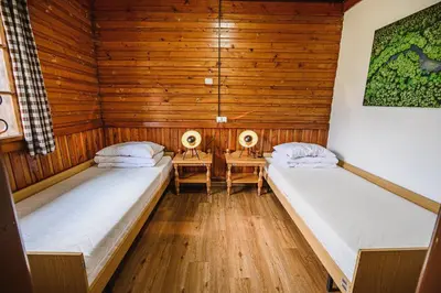 two beds in a room with wooden walls at Holiday Home Iris in Zgornje Jezersko