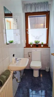 a bathroom with a toilet and a sink and a window at Apartmaji Dora in Mojstrana