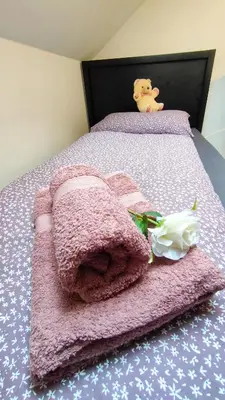 a pink blanket on a bed with a white flower at Apartmaji Dora in Mojstrana