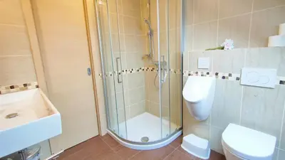 a bathroom with a shower and a toilet and a sink at Apartmaji Dora in Mojstrana