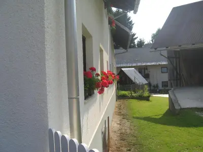 a white building with red flowers on a window at Apartma Tilika in Kranjska Gora