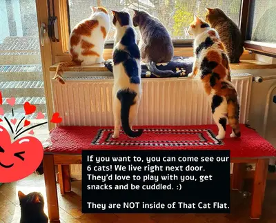a group of cats looking out of a window at That Cat Flat - free parking, near city center, cats! in Ljubljana