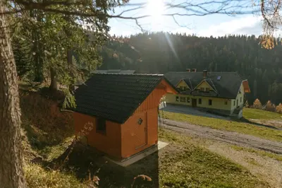 a house in a field next to a forest at Apartments Čenda in Železniki