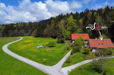 an aerial view of a house and a road at HomeSlovenia - your Home in the Heart of Slovenia in Selca