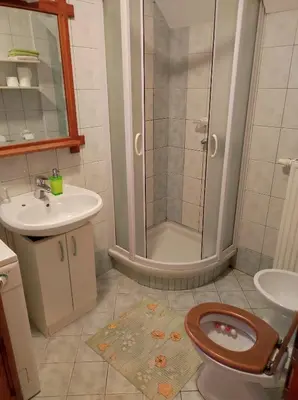 a bathroom with a shower and a toilet and a sink at Turistična kmetija Štupar in Dvor