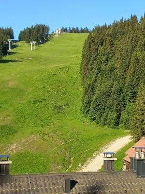a grassy hill with a dirt road next to a field at Primorka Golte in Mozirje