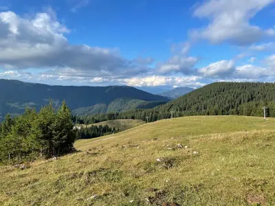 a green field with trees and mountains in the background at Primorka Golte in Mozirje