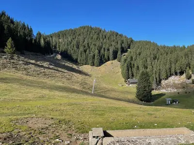 a green field with trees on a hill with a house at Primorka Golte in Mozirje