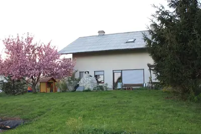 a white house with a large yard with a tree at Prijeten prostoren apartma v hiši in Pivka