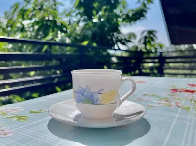 a coffee cup sitting on a plate on a table at Prijeten prostoren apartma v hiši in Pivka