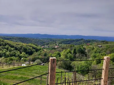 a view of a vineyard from behind a fence at Hiška oddiha - Rest house in Sromlje