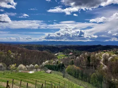 a view of a vineyard on a hill with a fence at Hiška oddiha - Rest house in Sromlje