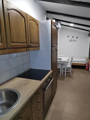 a kitchen with a sink and a refrigerator at E79 AQUALUNA KAMP NATURA PODČETRTEK card not included in Podčetrtek