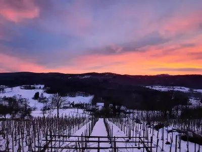 a sunset over a vineyard in the snow at Vineyard cottage Kulovec in Uršna Sela
