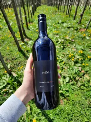 a person holding a bottle of wine in a vineyard at Vineyard cottage Kulovec in Uršna Sela