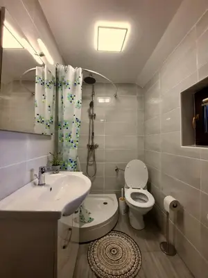 a bathroom with a sink and a toilet and a shower at Vineyard cottage Kulovec in Uršna Sela