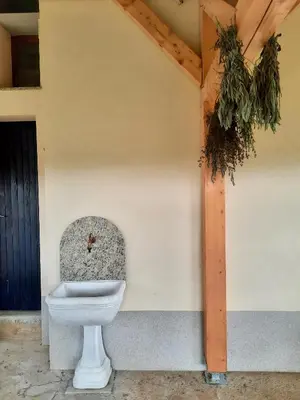 a toilet sitting in the corner of a building at Vineyard cottage Kulovec in Uršna Sela