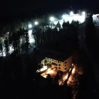 Forest View Apartment