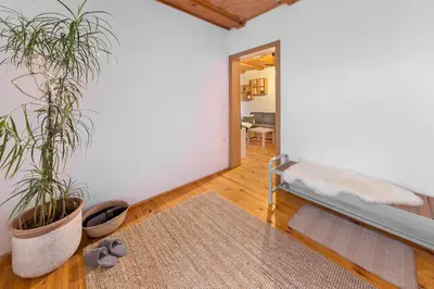 a room with two potted plants and a rug at Svisla in Kranj