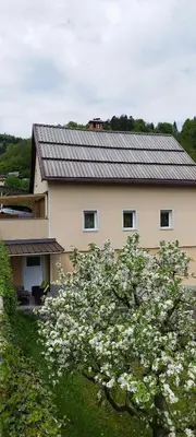 a house with a flowering tree in front of it at Apartma B & O in Idrija