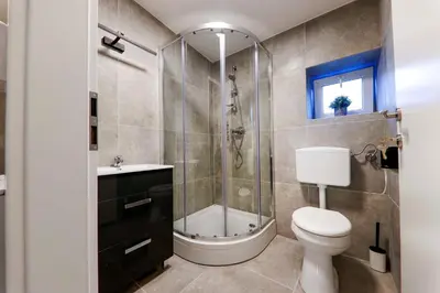 a bathroom with a shower and a toilet and a sink at Hostel Veronika Celje in Celje