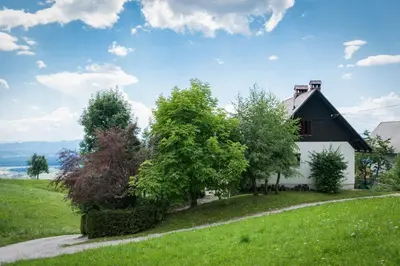 a house on a hill with trees and a road at Chalet Vista in Cerklje na Gorenjskem
