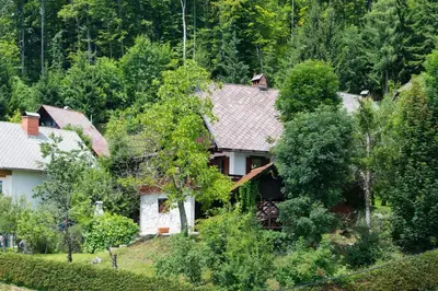 a house on a hill surrounded by trees at Chalet Vista in Cerklje na Gorenjskem