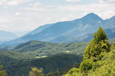 a view of a valley with mountains in the background at Chalet Vista in Cerklje na Gorenjskem