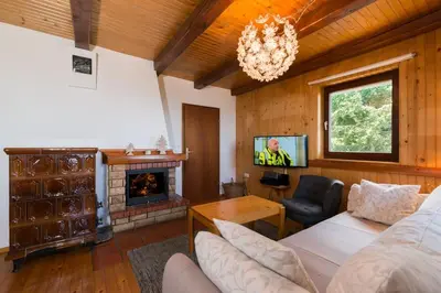 a living room with a couch and a fireplace at Chalet Vista in Cerklje na Gorenjskem