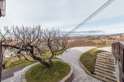 a tree sitting on top of a walk way at Cherry Orchard House in Šmartno