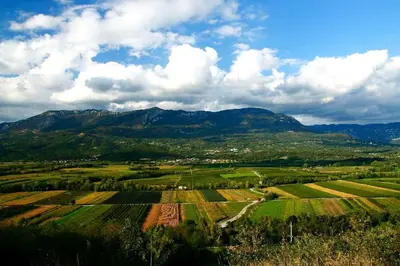 a view of a field with mountains in the background at Cherry Orchard House in Šmartno