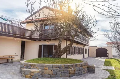 a house with a tree in front of it at Cherry Orchard House in Šmartno
