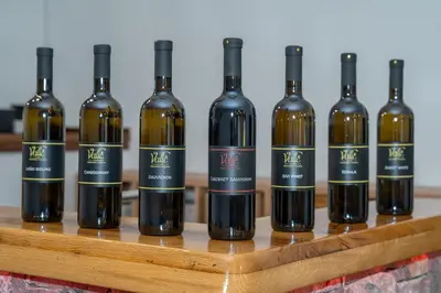 a bunch of wine bottles on a wooden shelf at Apartma Valič in Ajdovščina