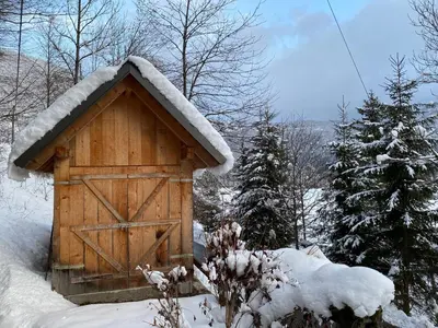 a woodenshed with snow on top of it at River Valley View House in Bohinjska Bistrica