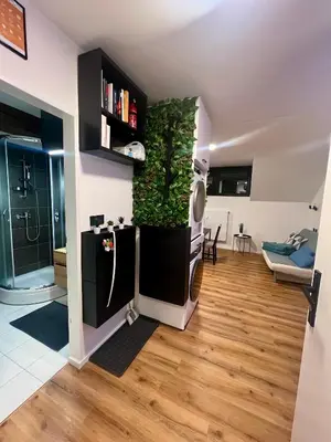 a kitchen and living room with a plant on the wall at Sport & Sunny Cosy Alpine Retreat in Kranjska Gora